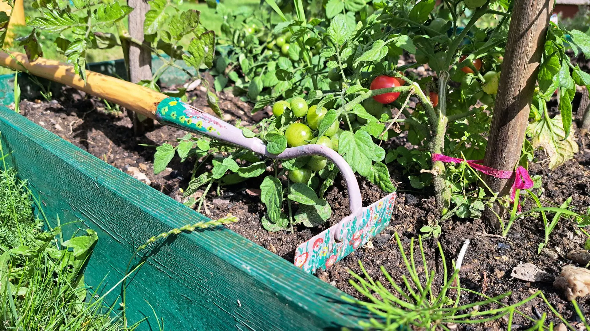 Lucyna Lenkiewicz - Sztuka Użyteczna