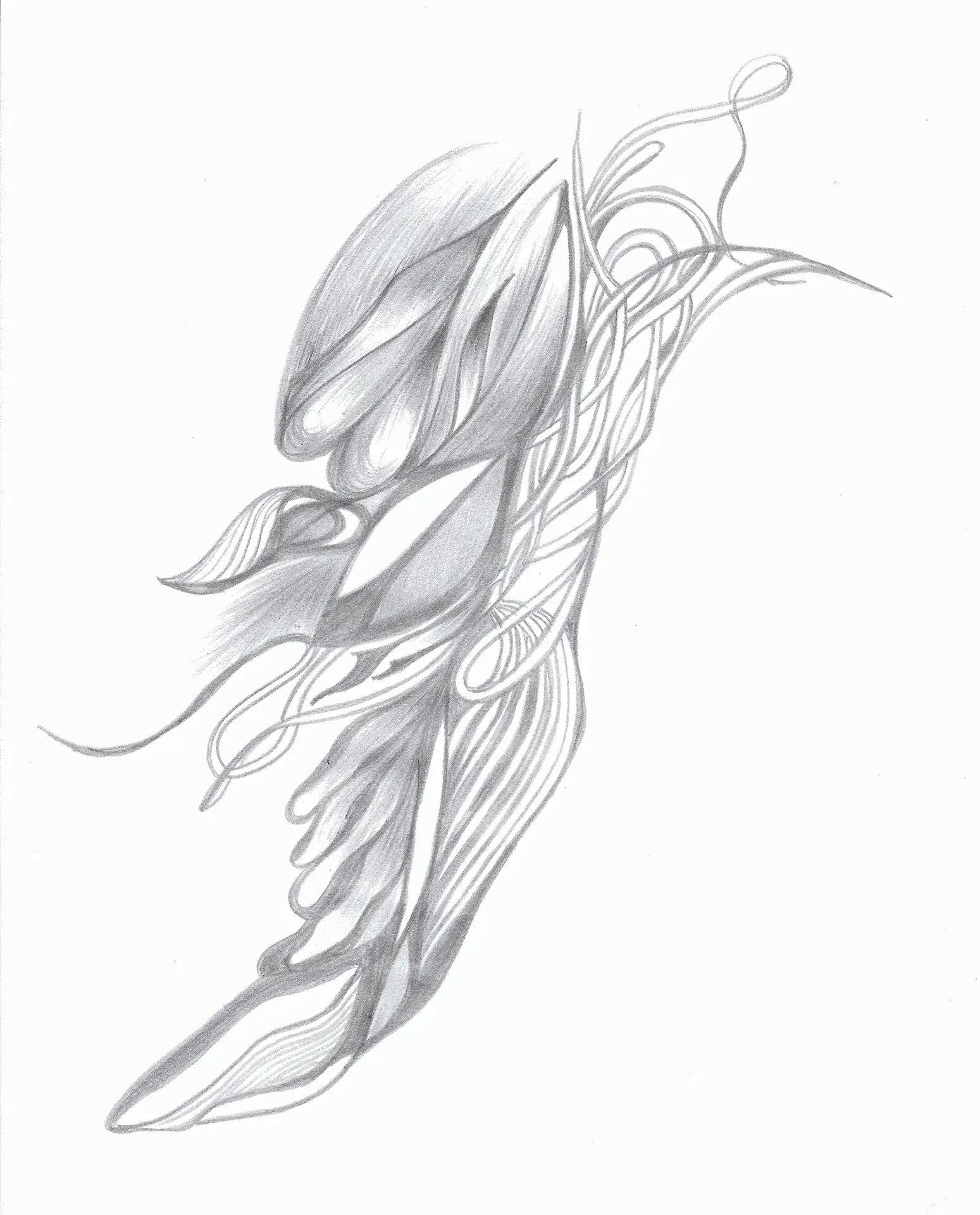 Lucyna Lenkiewicz - Rysunek Intuicyjny